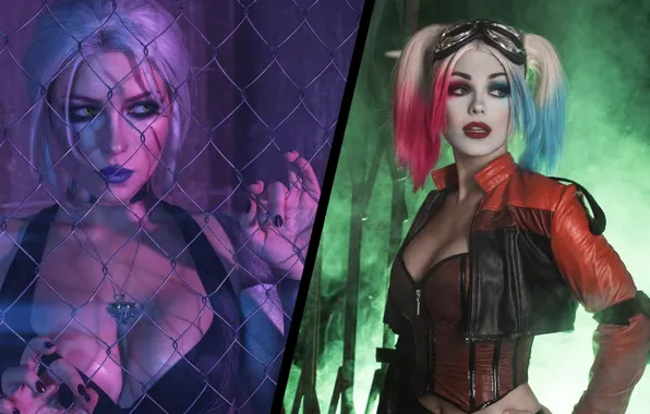 Girl, mesh, cosplay, Harley Quinn