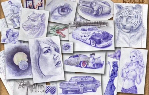 Animals, people, drawings, cars, Board of memories