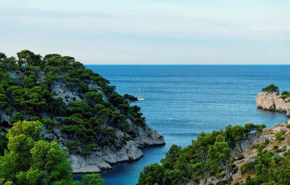 Picture sea, trees, stones, rocks, shore, France, yacht, horizon