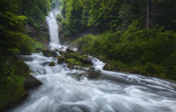 Forest, river, rocks, waterfall, Switzerland, Switzerland, Gissbach Waterfall, Gissbach River
