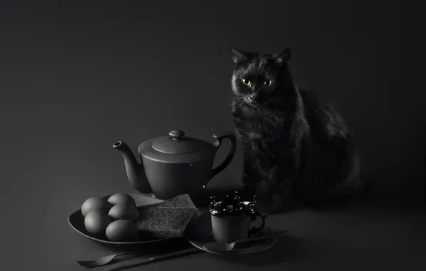 Picture cat, eyes, mustache, look, table, background, Breakfast, muzzle
