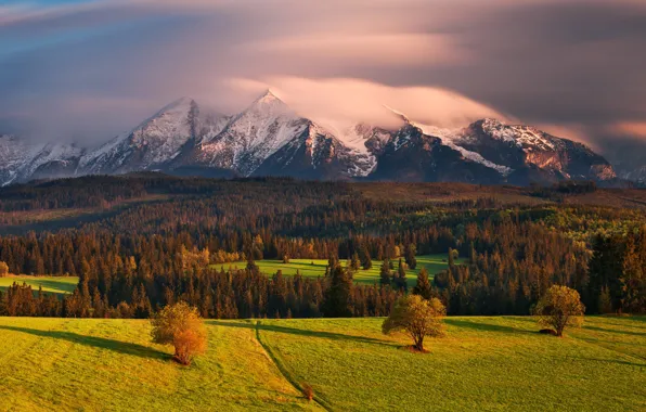 Autumn, forest, clouds, light, mountains
