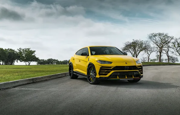 Picture Lamborghini, Predator, Yellow, Evening, Urus, Demon, VAG