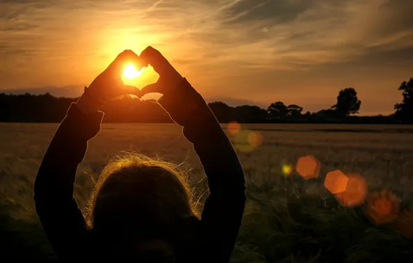 Field, girl, the sun, rays, trees, love, sunset, background