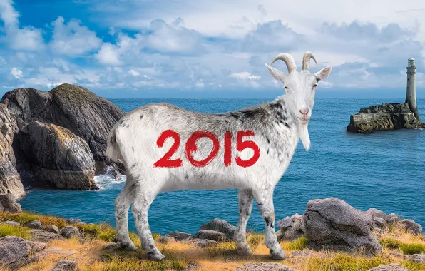 Landscape, new year, goat, goat, the year of the goat