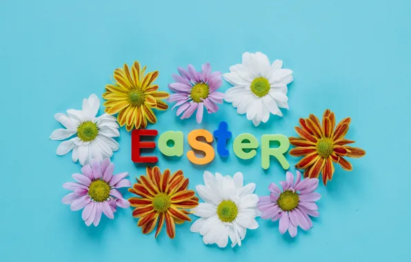 Flowers, Easter, Letters, Holiday, Chrysanthemum