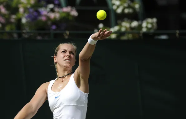 Picture Tennis, Sabine Lisicki, racquet