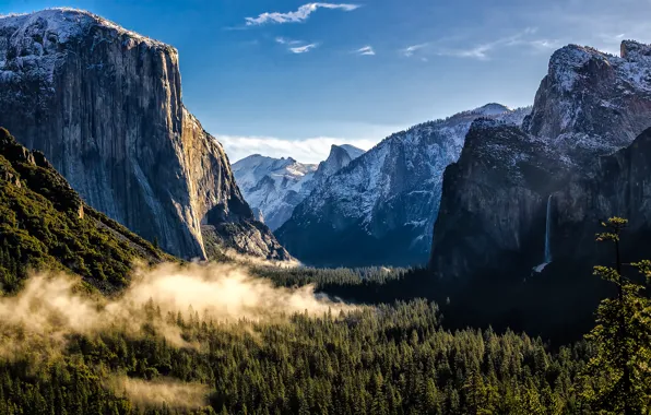Forest, mountains, USA, USA, Yosemite national Park, Yosemite National Park, State California, California