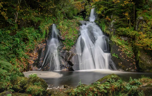 Autumn, forest, Germany, waterfalls, cascade, Germany, Baden-Württemberg, Baden-Württemberg