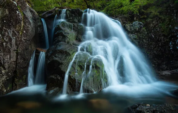 Forest, nature, stones, rocks, waterfall, stream, tmny background