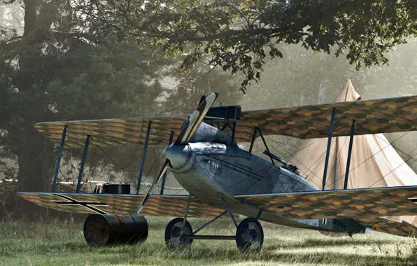 WWI, camping, albatros