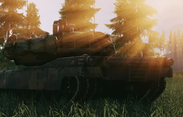 Nature, the game, Battlefield 4, M1 Abrams