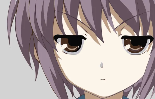 Picture nagato yuki, look, Violet