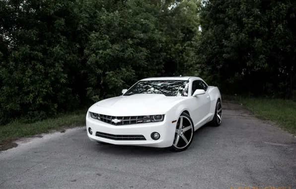 Picture Chevrolet, Camaro, White, Wrapped, Stain