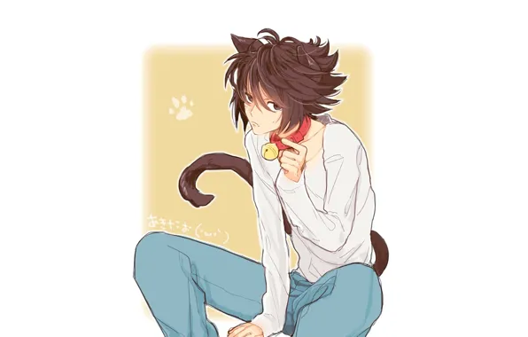 Cat, anime, art, guy, bell, Death Note, death note, L