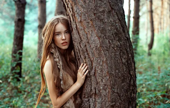 Picture forest, girl, trees, nature, tree, freckles, trunk, braid
