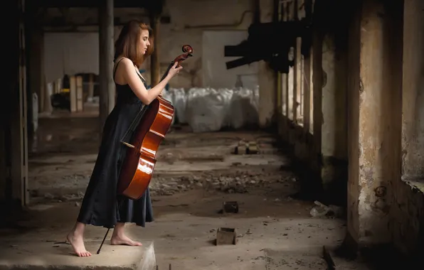 Cello, musical instrument, Giada Back