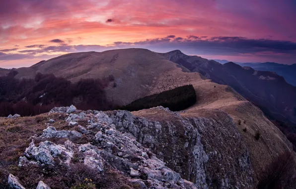 Forest, the sky, clouds, sunset, mountains, stones, open, rocks