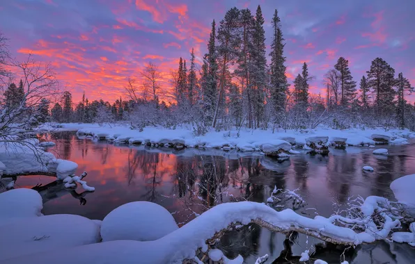 Winter, forest, snow, trees, reflection, river, sunrise, dawn