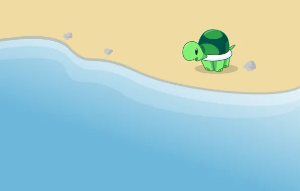 Turtle, sea. shore