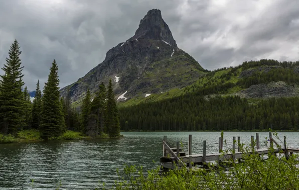 Picture forest, trees, mountains, clouds, river, rocks, USA, Glacier