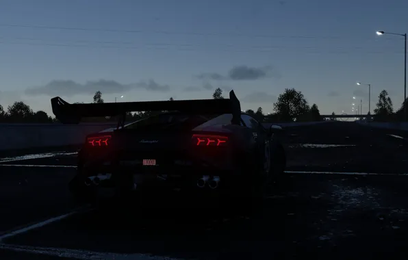 Road, night, posts, the evening, Lamborghini, back, The Crew