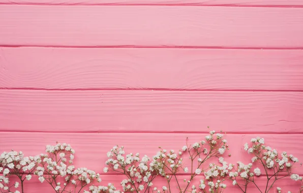 Picture flowers, Board, white, decor