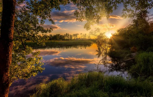 The sky, the sun, trees, sunset, nature, river, Alexey Malygin