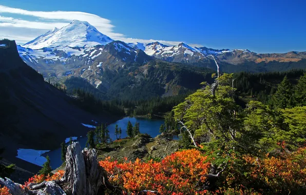 Trees, mountains, lake, valley