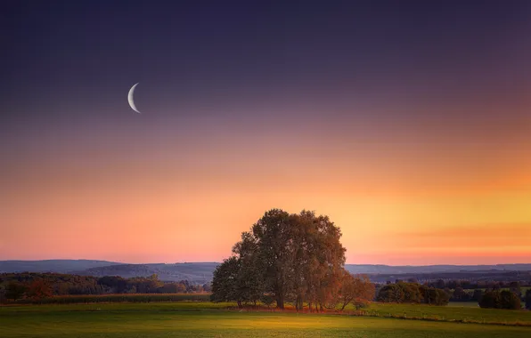 Picture field, sunset, the moon, the evening, a month
