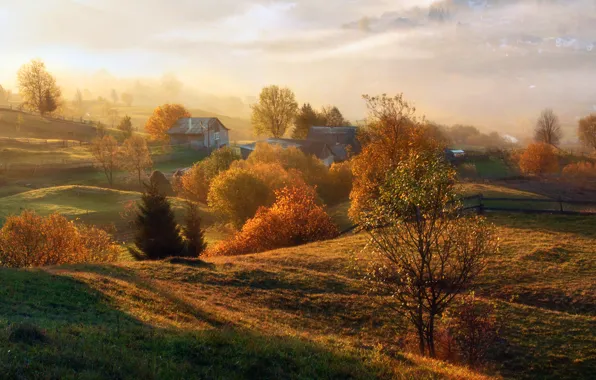 Picture autumn, the sun, trees, fog, field, space, houses, fences