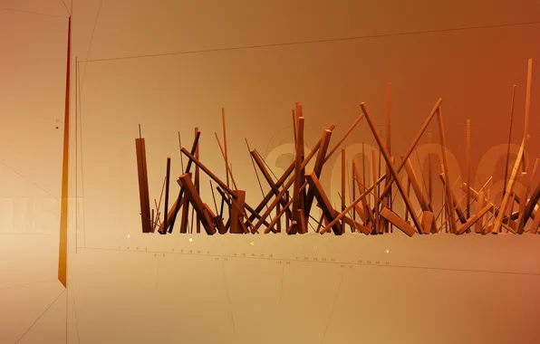 Picture line, 2006, sticks