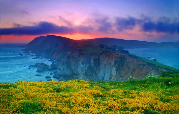 Sea, the sky, clouds, sunset, flowers, rock, the ocean, CA
