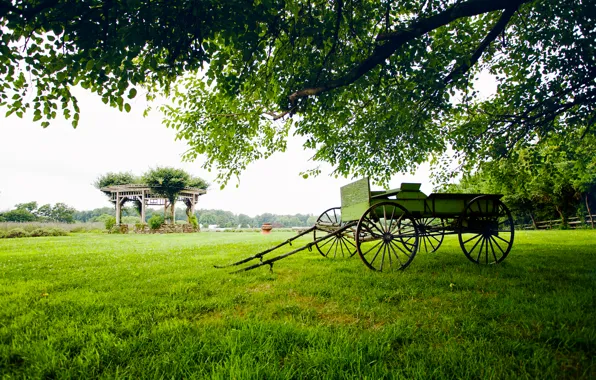 Greens, field, grass, trees, landscape, nature, tree, cart