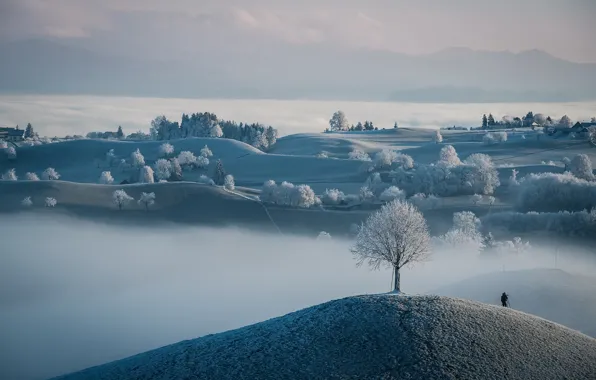 Picture field, nature, fog