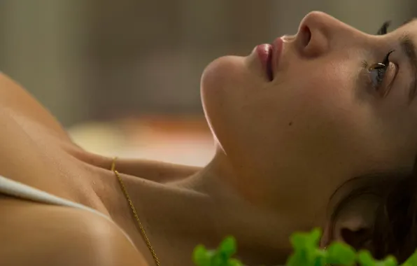 2014, The Hundred-Foot Journey, Spice and passion, Charlotte The Good