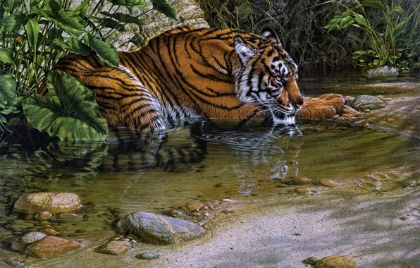 Picture jungle, tiger, cat, painting, Lee Kromschroeder, thirsty, stream, beast of prey