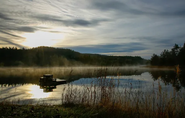 Picture fog, lake, dawn, morning, haze