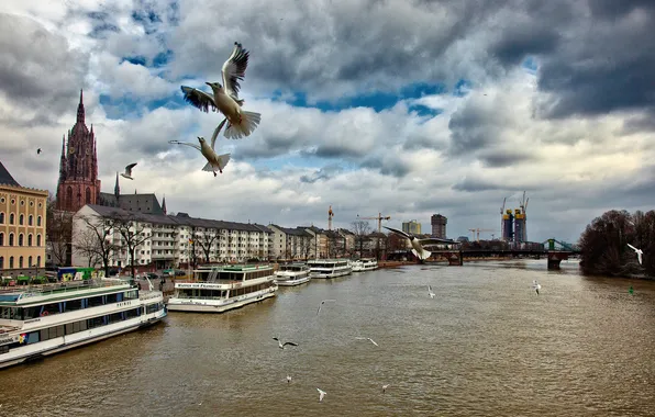 Picture the sky, clouds, bridge, river, bird, ship, home, Germany