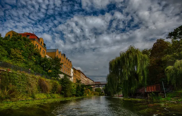 Bridge, river, The city