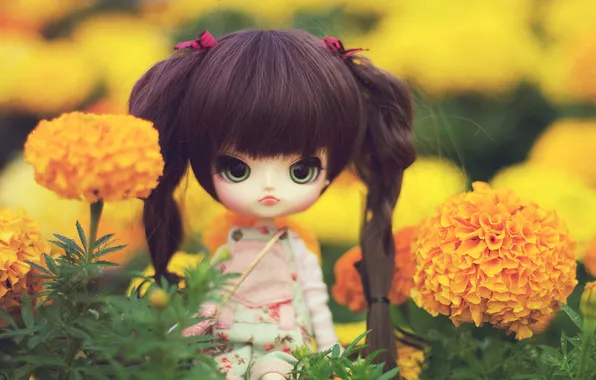 Picture flowers, toy, doll, brunette, braids, sitting