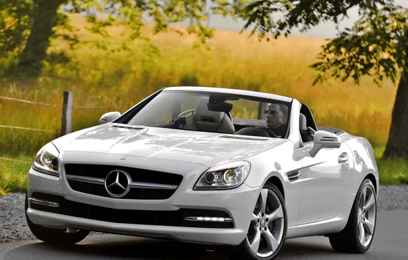 White, trees, Mercedes-Benz, Roadster, Mercedes, 350, SLK