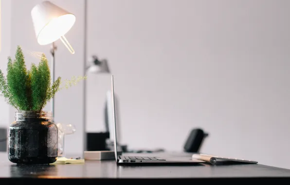 Glass, table, furniture, plant, Mac, bottle, lamp, coffee