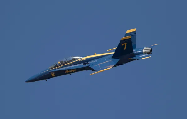 Picture flight, aviation, the plane, Blue Angels