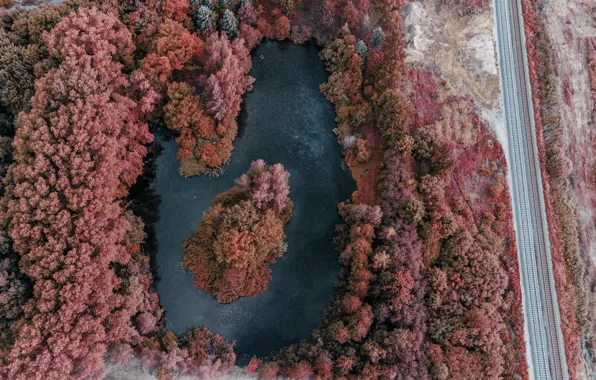 Landscape, Lake, Forest, Drone, Fly