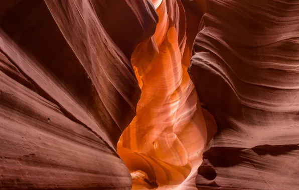 Picture canyon, AZ, USA, America, wall, antelope canyon