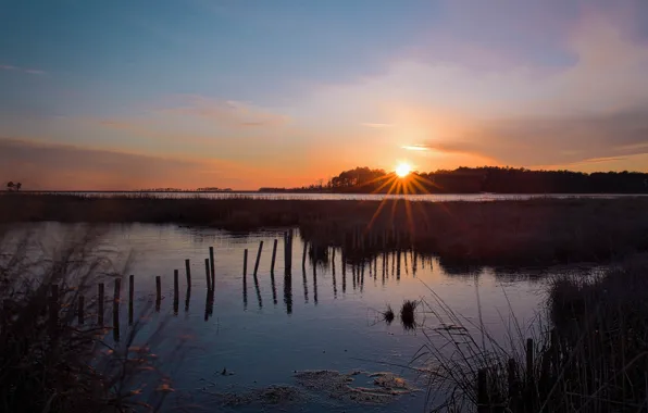 Forest, the sky, the sun, rays, landscape, sunset, nature, lake