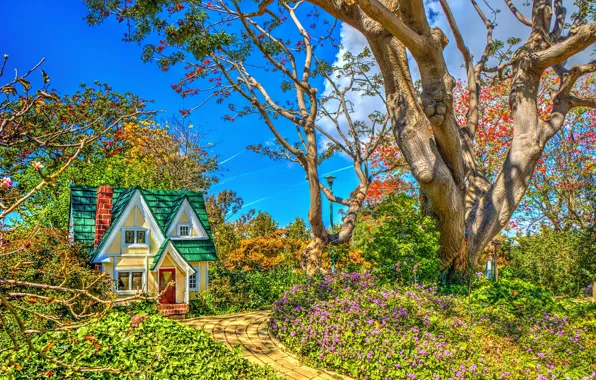 Greens, the sky, the sun, clouds, trees, flowers, HDR, garden