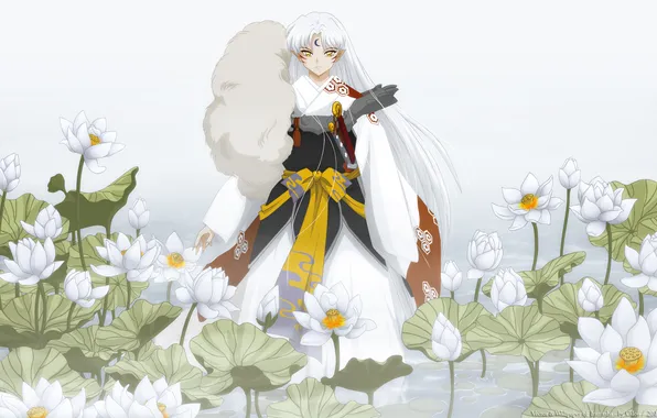 Flowers, art, Lotus, guy, cilou, InuYasha, Sesshomaru