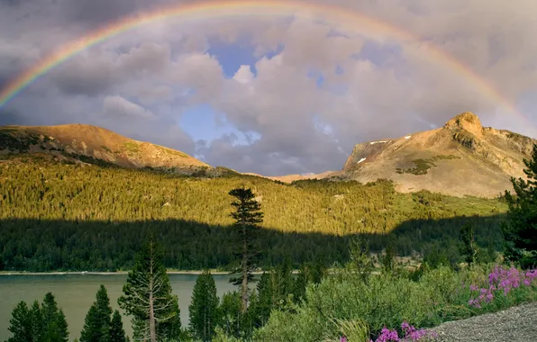 Clouds, trees, flowers, mountains, nature, rainbow